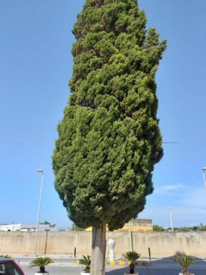 L'Albero bello Holiday, Mazara Del Vallo